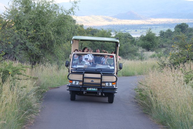 One Night Two Day Pilanesberg National Park Safari and Open Vehicle Game Drives - The Sum Up