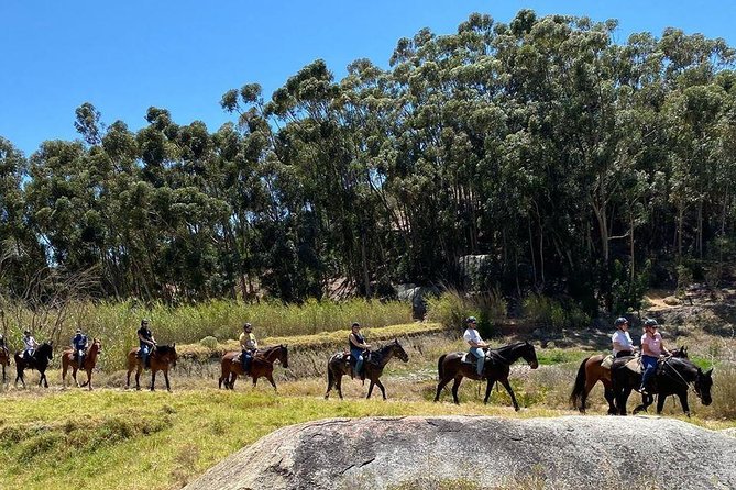 Paarl Small-Group Horseback Riding Tour  - Stellenbosch - Common Questions