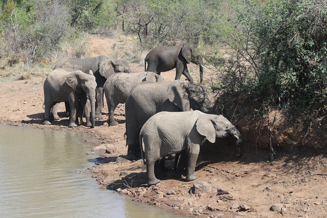 Pilanesberg Nature Reserve - The Sum Up