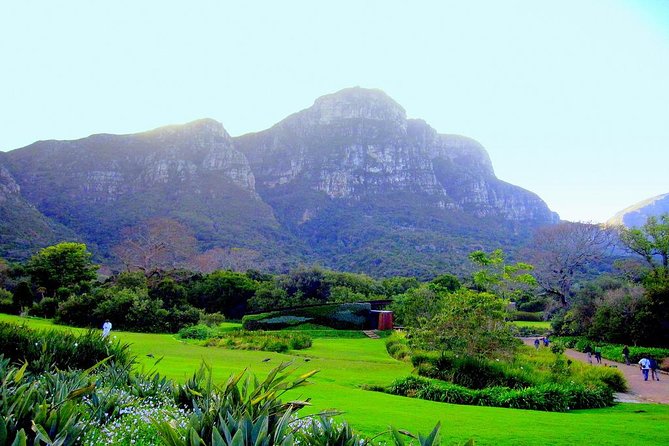 Private Cape Peninsula Kirstenbosch Garden Full Day Guided Tour - Common Questions