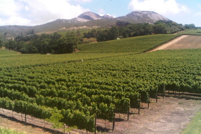 Private Cape Winelands From Stellenbosch or Franschhoek or Paarl - Cancellation Policy and Additional Information