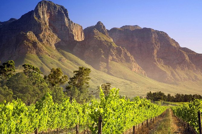 Private Cape Winelands Guided Full Day Tour From Cape Town - Highlights of the Scenic Cape Winelands Region