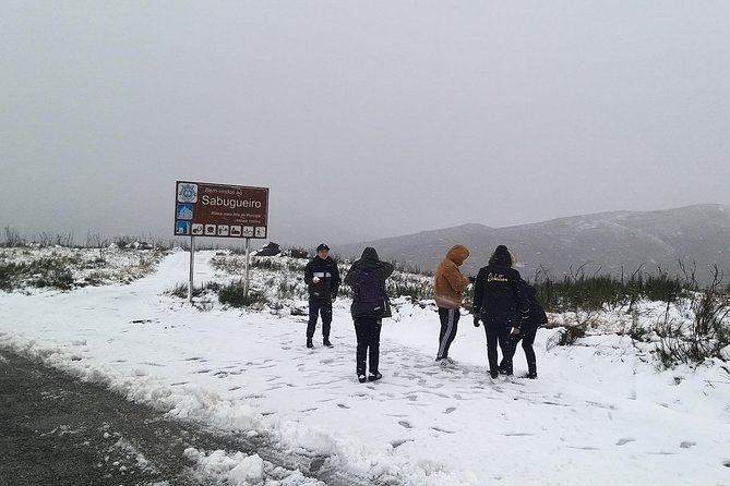 Private Tour Through Serra Da Estrela Park and Its Famous Cheese - Visit to Traditional Cheesemaker and Tasting