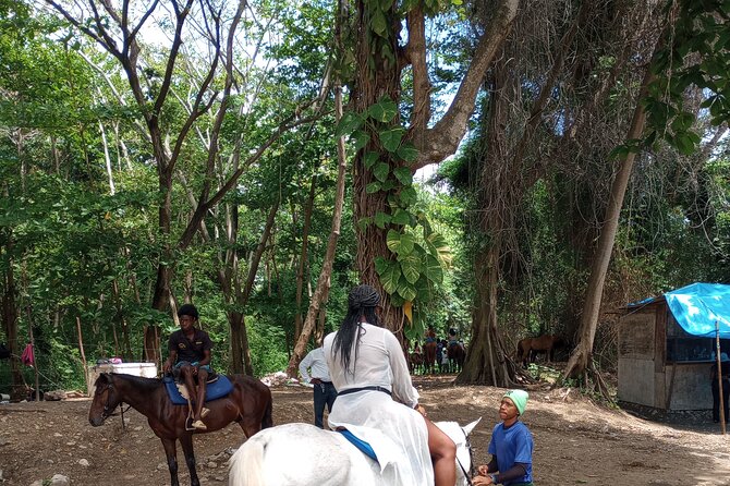 Private Transport to Dunns River/ Blue Hole/ Horseback Riding - The Sum Up