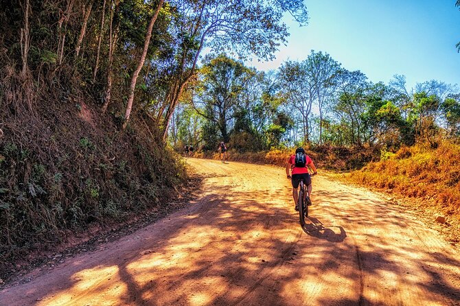Rent a Mountain Bike and Explore Lagos and Algarve in Portugal - The Sum Up