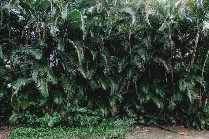 Road to Hana Private Tour With Local Guide - Review Verification Process