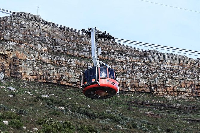 Robben Island Tour & Table Mountain Guided Tour - Comparing Separate Vs Combined Tours