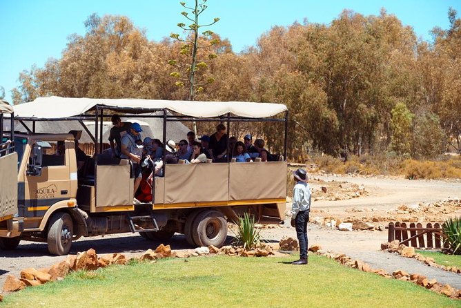 Safari Tour - Half Day Safari - Common Questions
