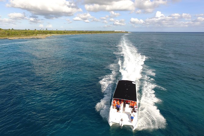Saona Island Full-day Trip Open Bar, Lunch and (Snorkeling Free ) - The Sum Up