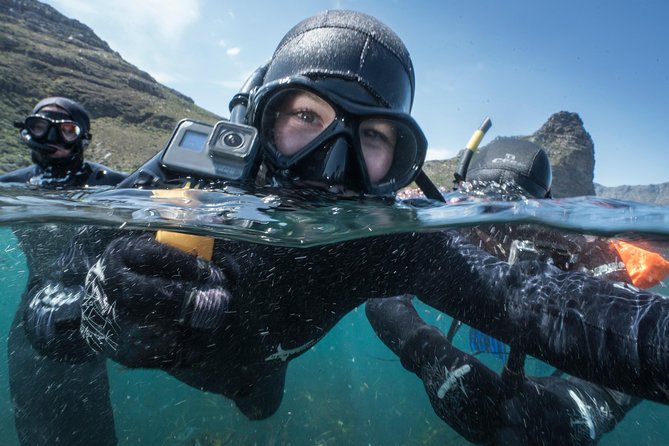 Seal Snorkeling With Animal Ocean in Hout Bay - Common Questions