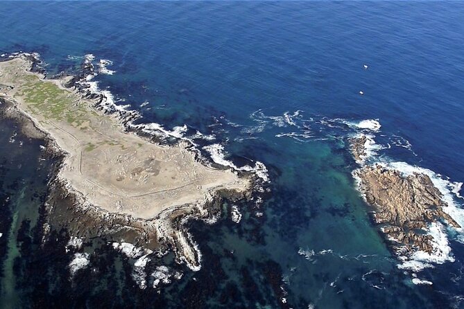 Shark Cage Diving and Viewing With Transport From Cape Town - Additional Information for Booking