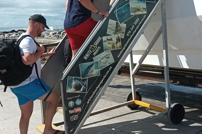 Shark Diving Adventure Penguins in Gansbaai From Cape Town F Day - Common Questions