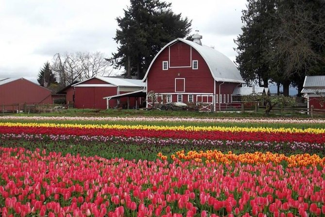 Skagit Valley Tulip Festival Day Trip From Seattle - Booking Information