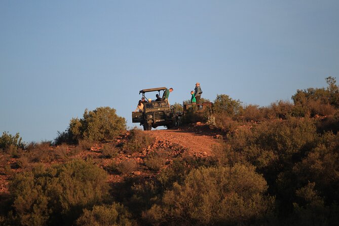 South African Bush Safari in Oudtshoorn  - Western Cape - Common Questions