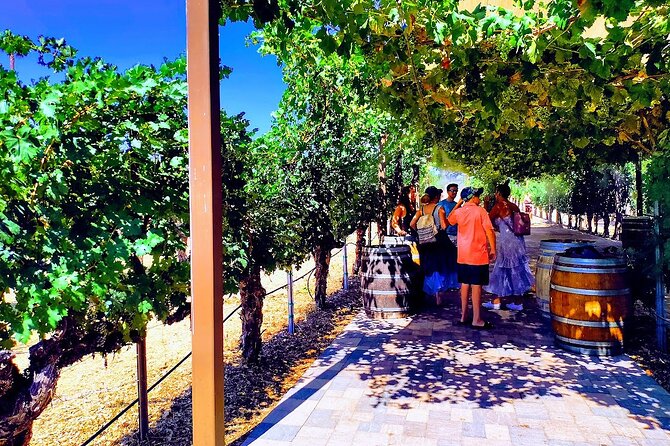 Temecula Wine Tour From Los Angeles - Weather Requirements