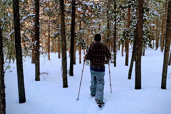 Unforgettable Snowshoe Adventure in the Colorado Rockies - The Sum Up