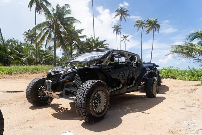 UTV/ Can Am Tours in Puerto Rico - Common Questions
