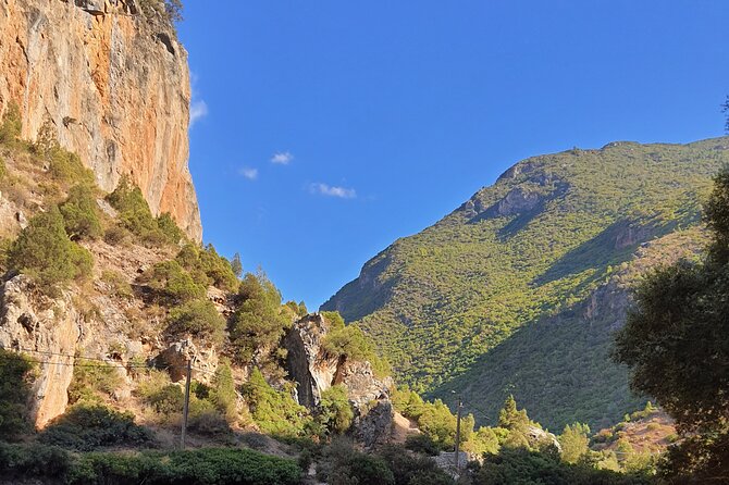 Walking Tour of Chefchaouen, the "Blue City" of Morocco - Full Day Tour - Common Questions
