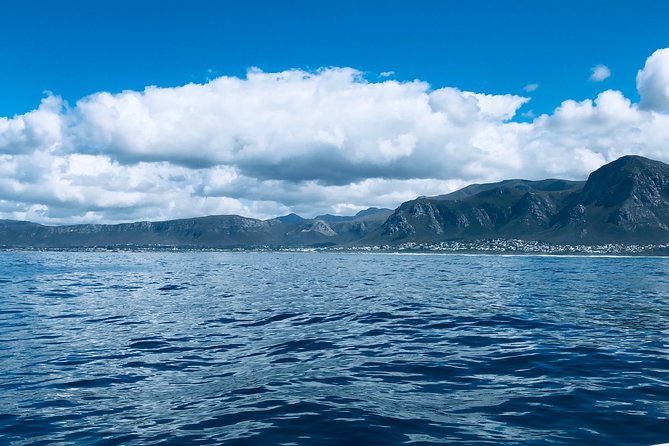 Whale Watching Tour in Hermanus With Hotel Pickup - The Sum Up