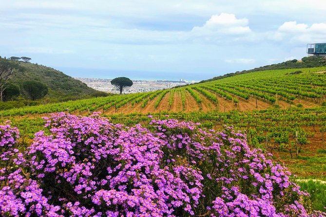 Wine Tasting - Boutique Farms - Common Questions