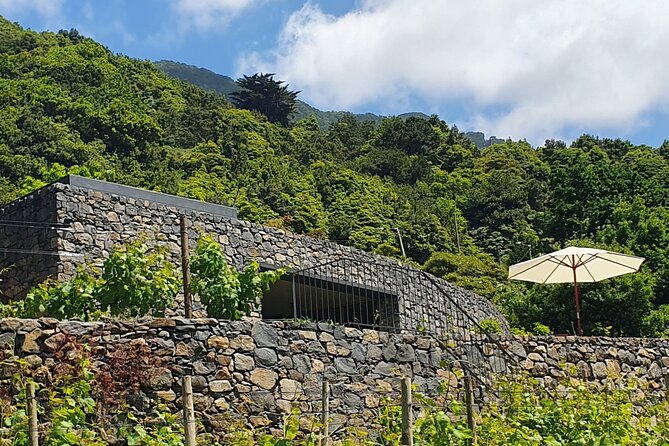 Wine Tasting Experience in Boaventura, Madeira North Coast - Additional Resources