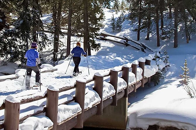 Yellowstone & Grand Teton National Parks Private Winter Tour 5-Day - Common Questions