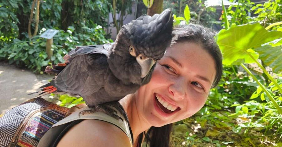 7B – Wildlife Tour & Mossman Gorge