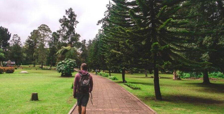 8-Day Enchanting Honeymoon Getaway" - Good To Know