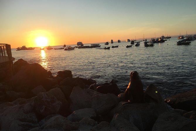 8-Day Galapagos Island Hopping Superior: Kicker Rock, Los Tuneles, Local Flight - Good To Know