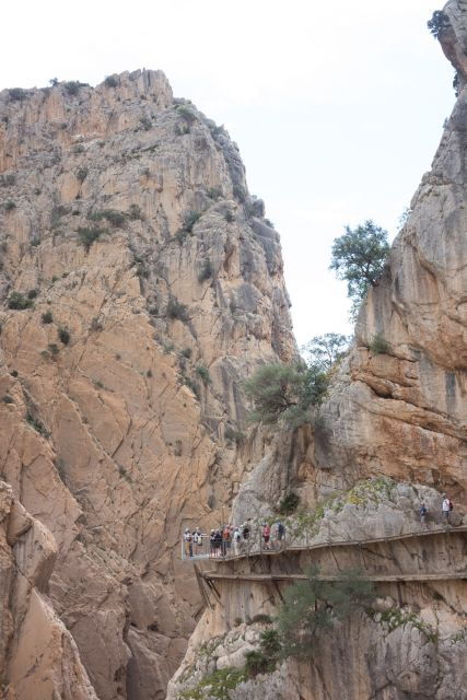 8 Day Guided Cycling Tour From Malaga to Granada - Good To Know