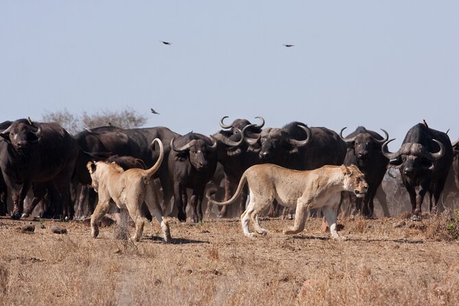 8 Day South Africa Garden Route to Kruger National Park - Day 1: Cape Town Arrival