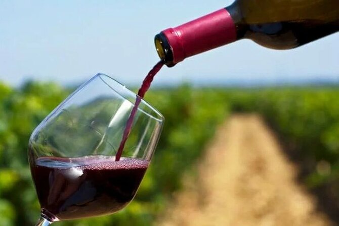 8 Hours Private Stellembosh and Franshhoek Wine Tour