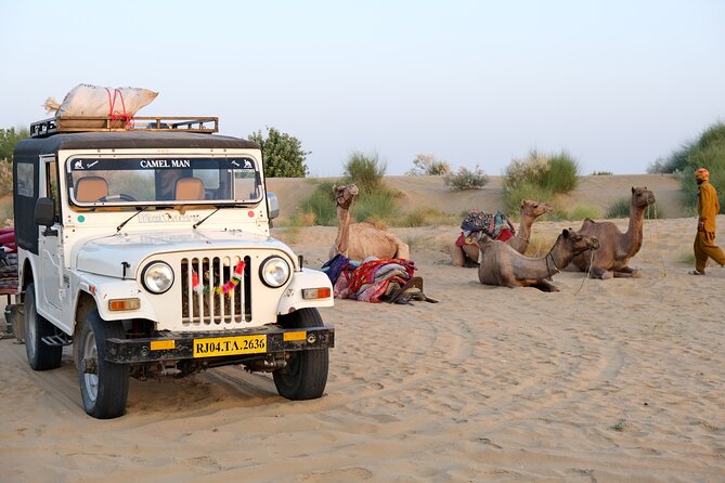 8 Hours Private Tour in Thar Desert With Dinner