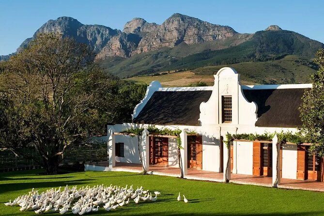 1 Day Winelands Explore of Stellenbosch Franschhoek Paarl Regions - The Sum Up