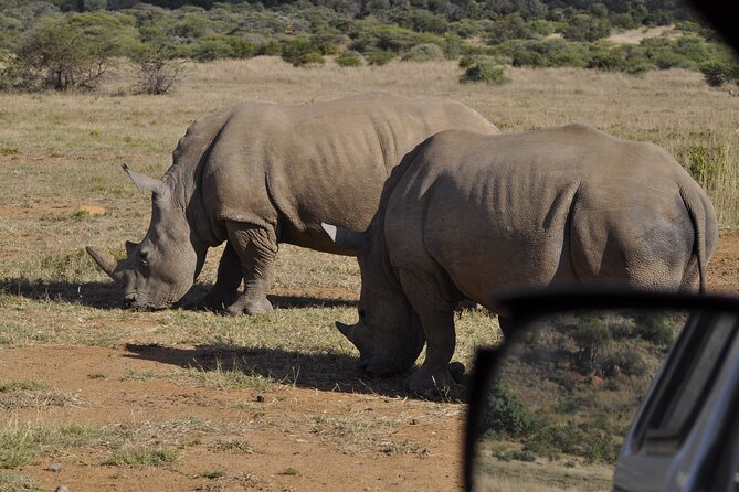 6-Day Private South to North Kruger National Park Tour - Cancellation Policy and Refund Options