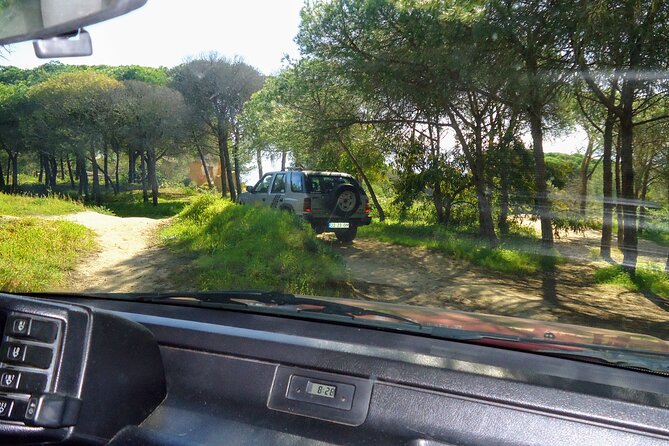 Algarve Private Tour With Typical Lunch - Private Tour Guide