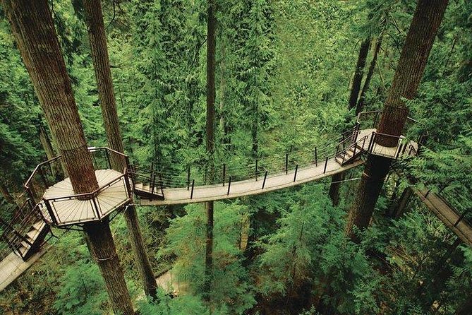 Best of Vancouver Highlights /Suspension Bridge/ Free Pizza Party Tour Private - Tour Inclusions