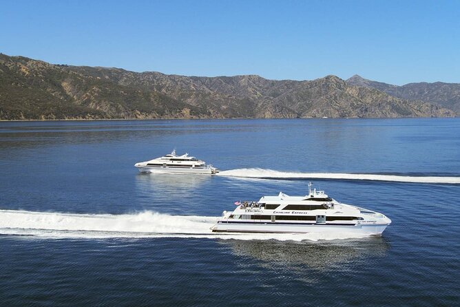 Catalina Island Day Trip From Anaheim Hotels With Discover Avalon Tour - Common Questions
