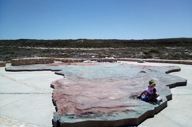 Combo Cape Agulhas Tour and Whales Watching Boat in Hermanus - The Sum Up