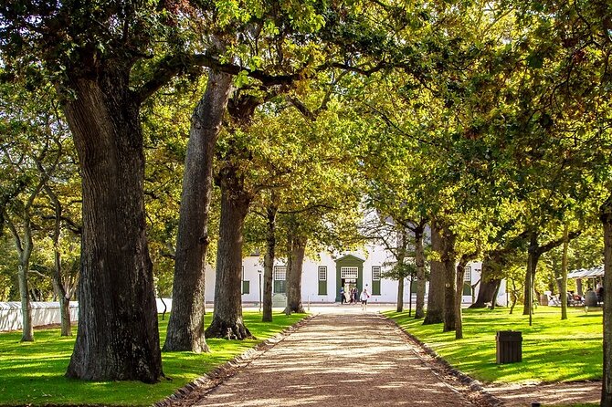 Constantia Winelands Kirstenbosch Gardens Luxury Guided Daytrip - Pricing Details