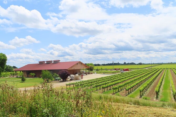 Driving in Delta's Wine Country: Private Self-Guided Audio Tour - Common Questions