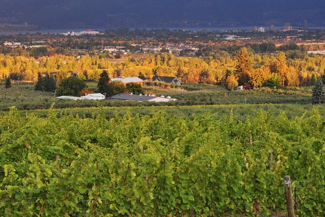 East Kelowna Wineries Tour Lunch - Tips and Recommendations for the Tour