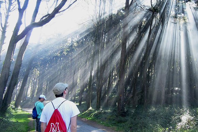 Guided Hike in Sintra-Cascais Natural Park, Lisbon - Additional Information and Tips