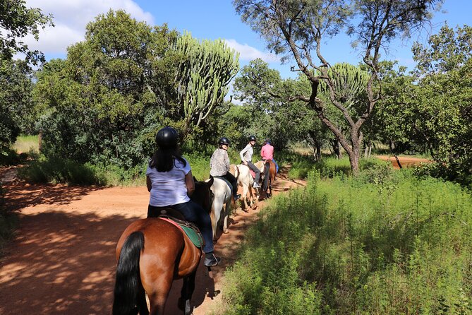 Horseback Safari Adventure in Hartbeespoort From Johannesburg - How to Get to Hartbeespoort From Johannesburg