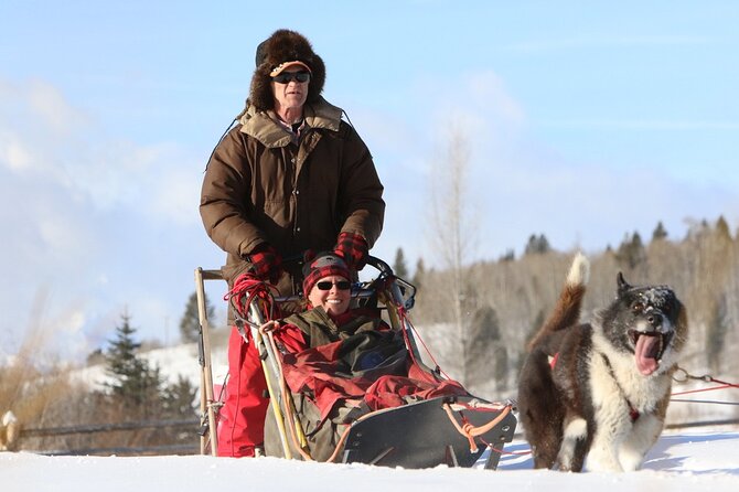 Jackson Hole Half-Day Small-Group Dogsled and Snowmobile Tour - Common Questions