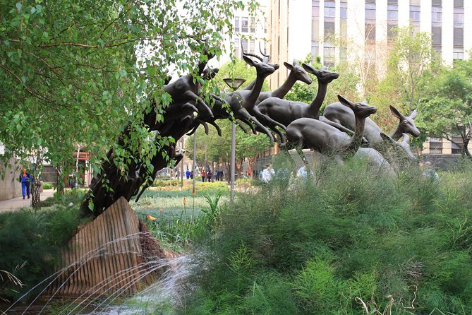 JoburgPlaces Understanding Joburg Walking Tour - Meeting and Pickup Details