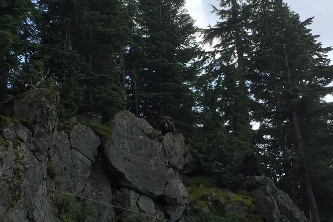 Mountain Adventure (Grouse Mountain and Capilano Suspension Bridge) - Questions and Additional Information