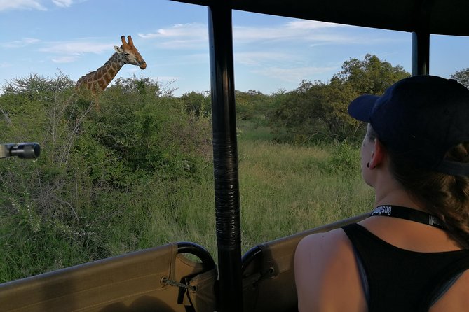 Private 5-Day Overnight Safari in Kruger Park From Skukuza Airport - The Sum Up