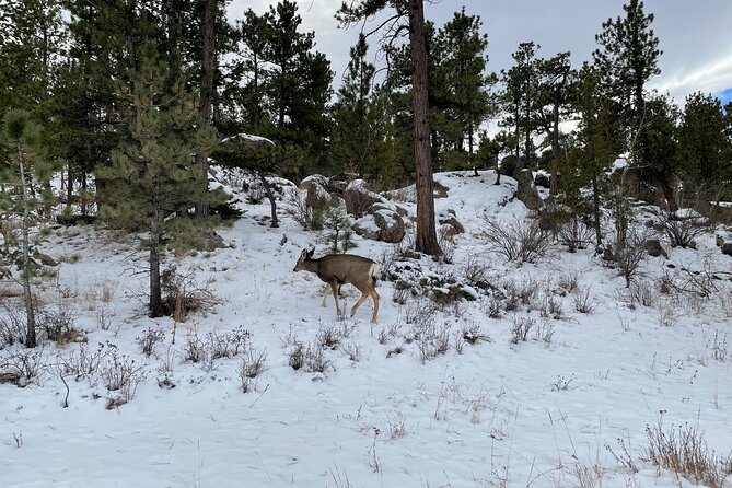 Private Guided Hike and Scenic Drive Near Fort Collins - The Sum Up