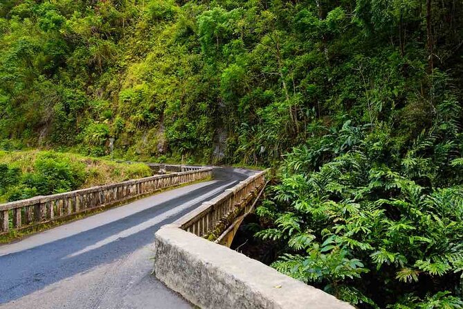 Private Native Tour of the Road to Hana With Cultural Lunch Show - The Sum Up